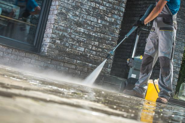 Best Gutter Cleaning  in Cedar Falls, IA